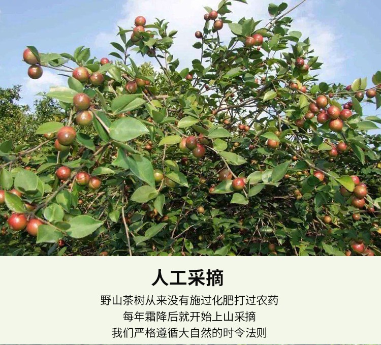 和萬(wàn)安|生態(tài)農(nóng)業(yè)|有機(jī)食品|綠色食品|稻田共養(yǎng)