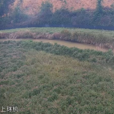 禾天下農(nóng)業(yè)直播-剡溪8